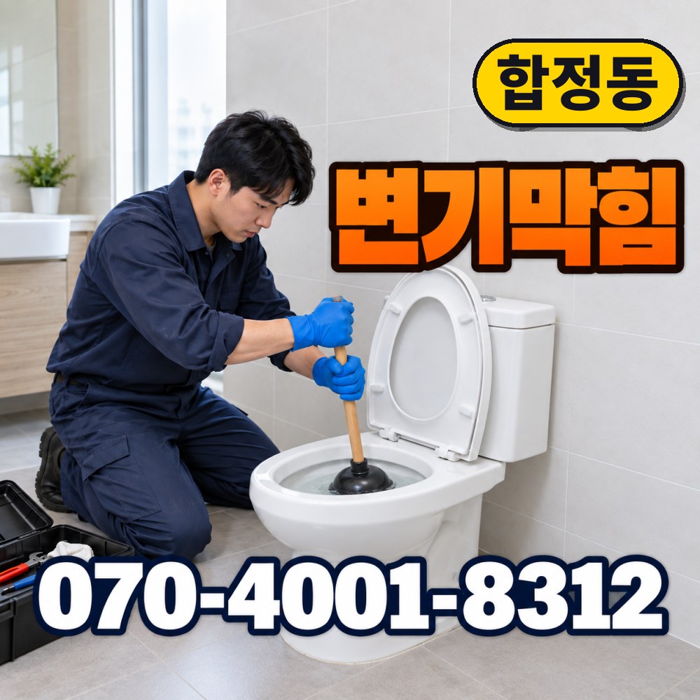 평택시 합정동 변기수리 대표사진 1